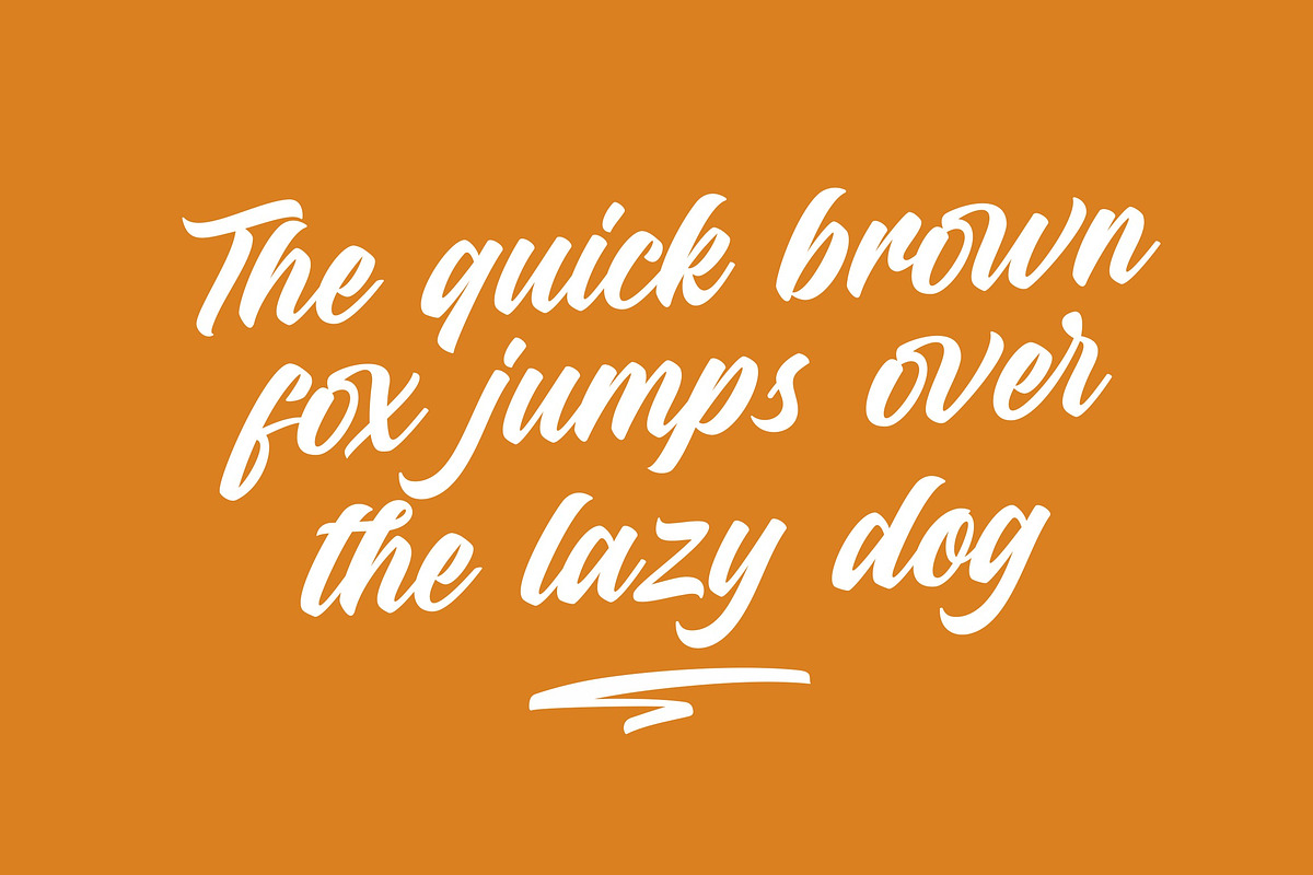 Dirtylane - Bold Script, a Script Font by ErgibiStudio (Photo 11 of 11)