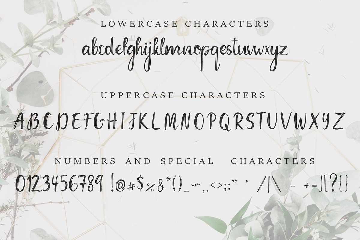 Coconut Font & Abstract Patterns preview 8