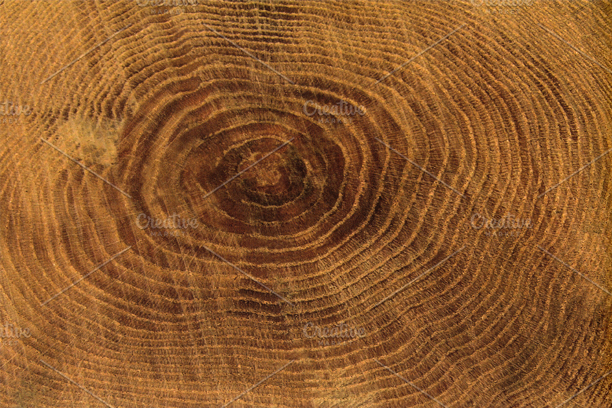 Mixed Media Textures, a Texture Graphic by Blue Line Design (Photo 11 of 21)