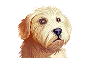 Puppies Dog Breeds Big Bundle 135Pcs, an Animal Illustration by Dneprstock (Thumbnail 29 of 68)