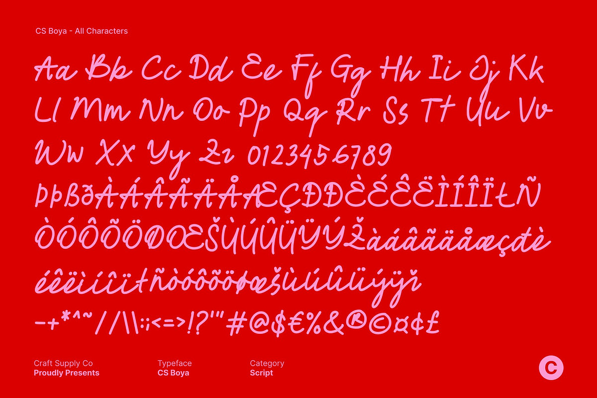 CS Boya – Monoline Script Font, a Script Font by Craft Supply Co. (Photo 8 of 8)
