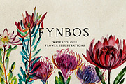South African Flowers, a Decorative Illustration by Karliefie (Thumbnail 3 of 5)