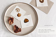 Mushroom illustration. Fungi clipart, a Food Illustration by Diana Askarova Art (Thumbnail 4 of 6)