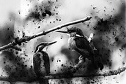 3D Dispersion Photoshop Action, an Action Add-On by MRI STUDIO (Thumbnail 12 of 12)