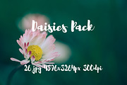 Daisies Pack, a Templates & Theme by ApertureVintage (Thumbnail 3 of 14)