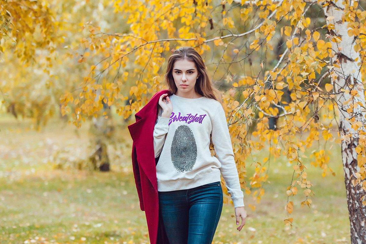 Sweatshirt Mock-Up Vol 3, a Hoody Mockup by Freeman Studio (Photo 5 of 17)