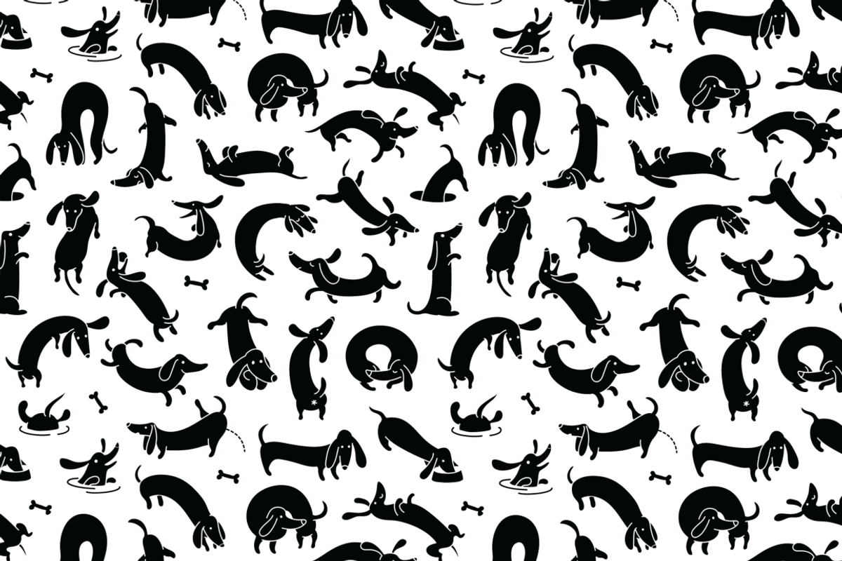 Dachshund Dash Pattern And Icons, a Pattern Graphic by Iconka (Photo 4 of 9)