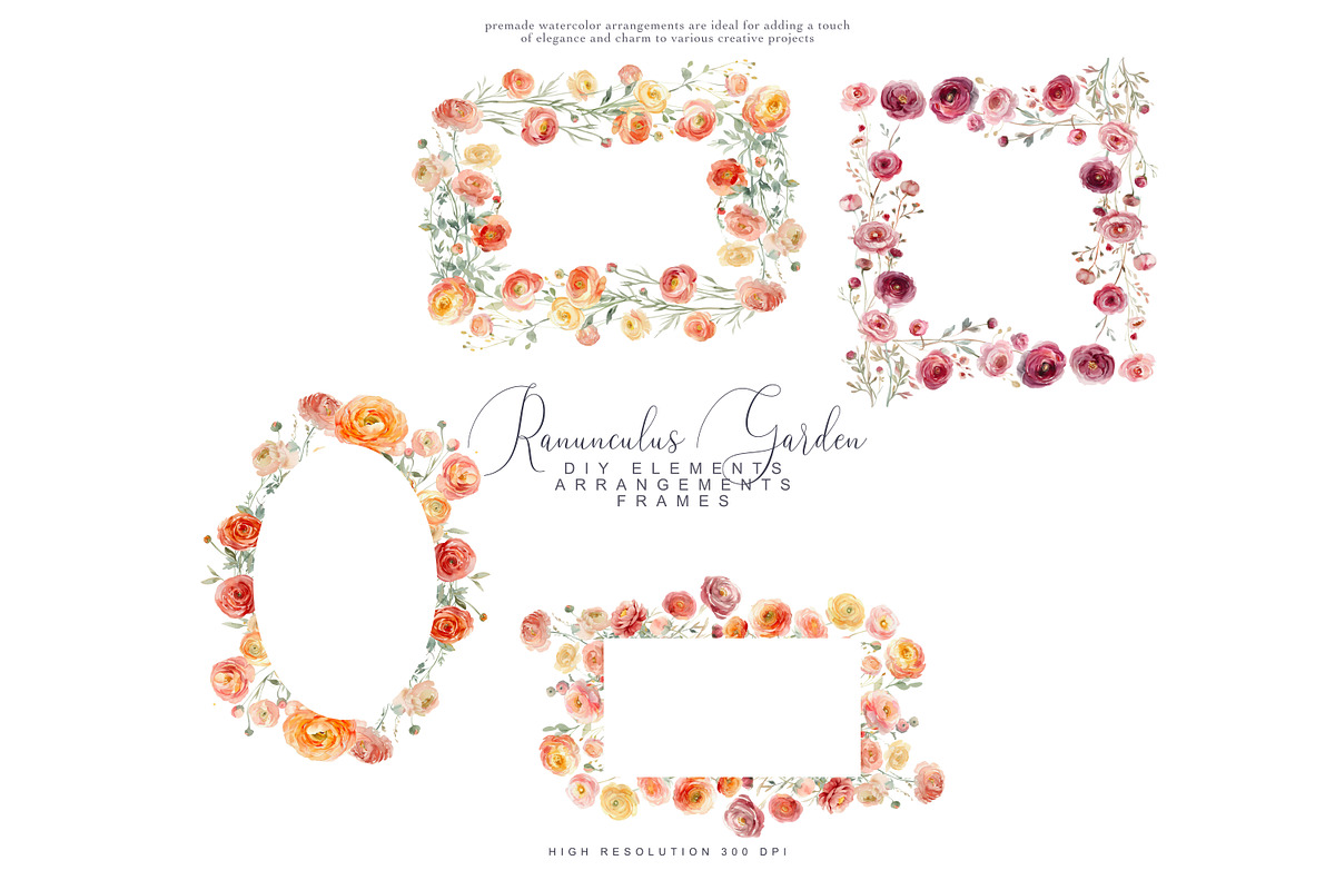 Watercolor Ranunculus Clipart Set, a Decorative Illustration by Patishop Art (Photo 8 of 10)