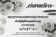 New shine script, a Script Font by Rvq Type Foundry (Thumbnail 3 of 6)