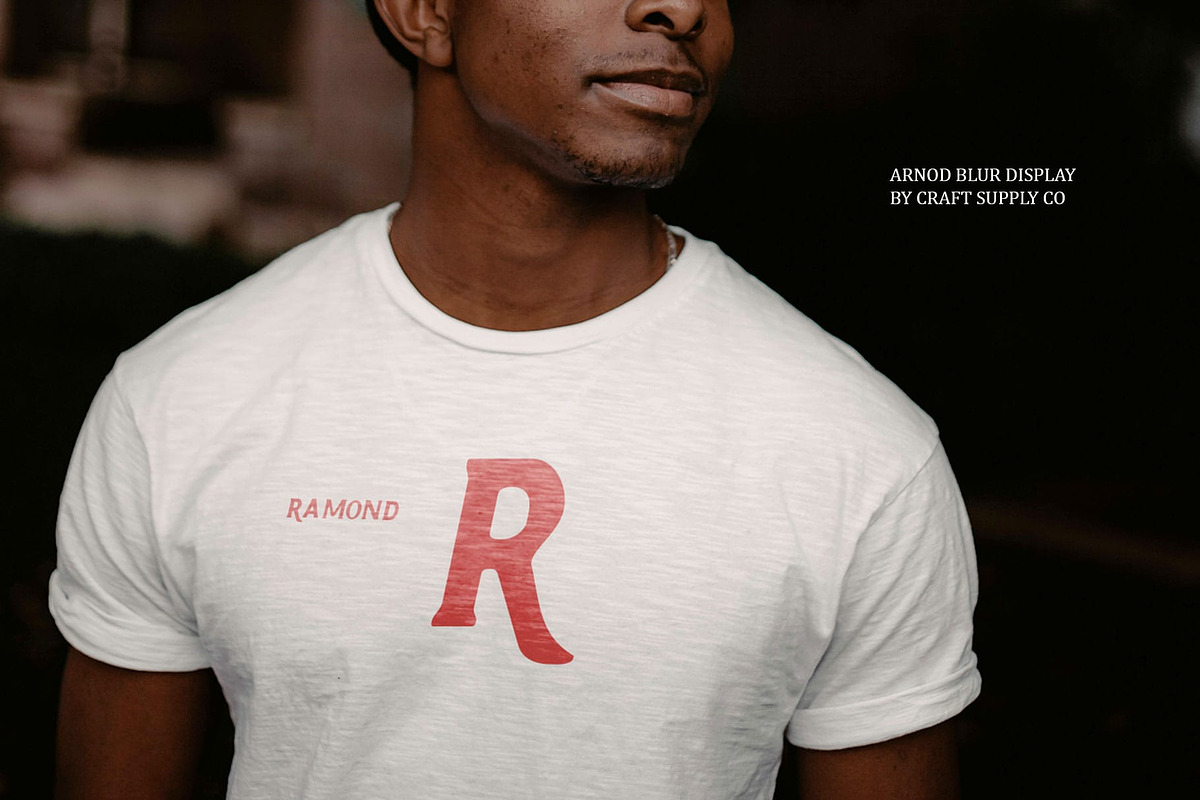 Arnod Blur, a Serif Font by Craft Supply Co. (Photo 3 of 8)