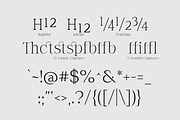 The Letter Editorial – Modern Serif, a Serif Font by Lettertype Studio (Thumbnail 12 of 16)