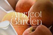 Night Whispers - Elegant Serif, a Serif Font by Mikhail Kitsune (Thumbnail 3 of 10)