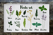 Herbs set, a Food Illustration by Tabita's shop (Thumbnail 1 of 5)