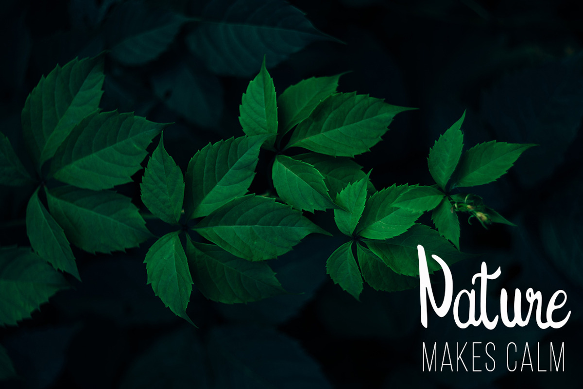 The Prague - Modern Handwritten Font, a Script Font by Wellscript Studio (Photo 2 of 7)