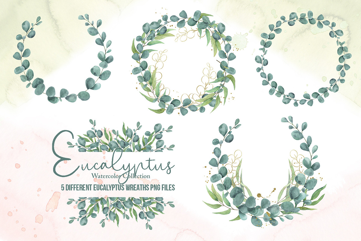 Watercolor Eucalyptus SET, a Decorative Illustration by TanataDesign (Photo 9 of 16)