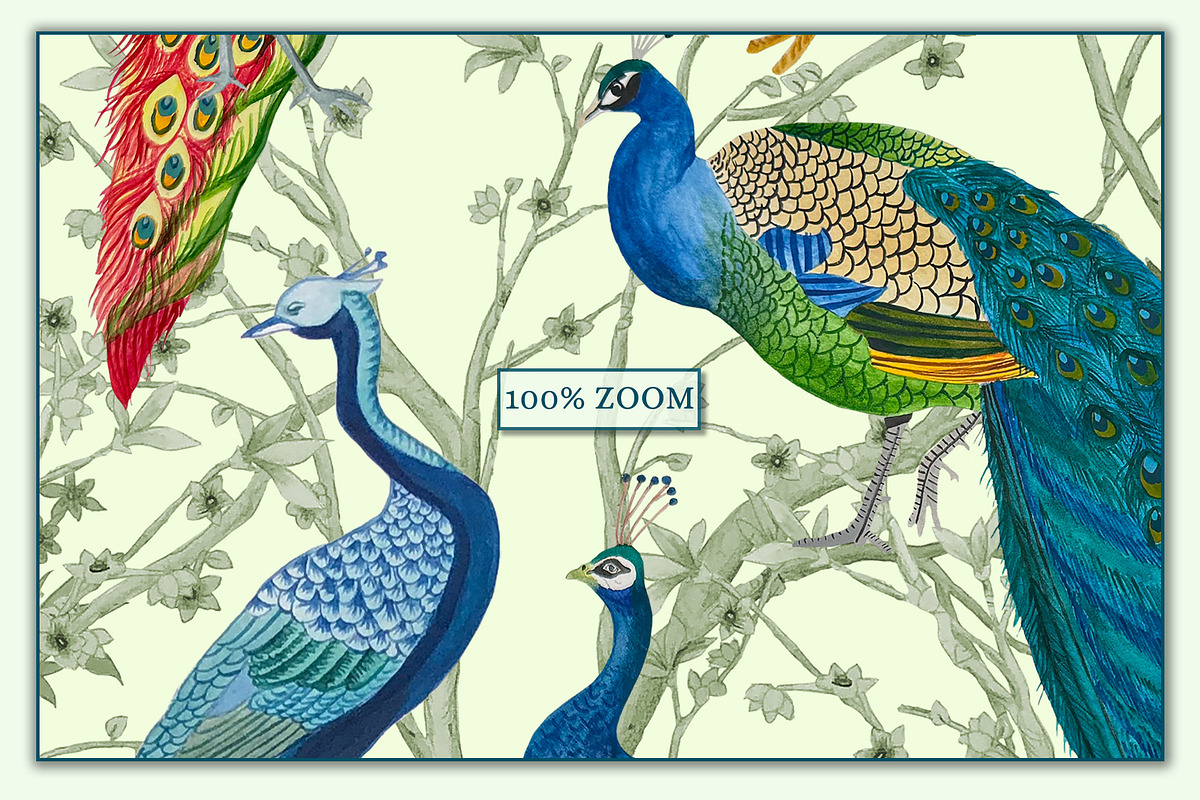 Forest Peacock Prints & Patterns, a Pattern Graphic by GND ART STUDIO (Photo 8 of 8)