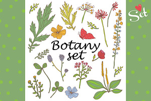 Botany.