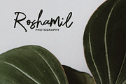 Hafine - Casual Brush, a Handwritten Font by tebaltipislab (Thumbnail 3 of 10)