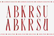 Bergu – Editorial Display Serif, a Serif Font by Sohel Studio (Thumbnail 9 of 10)