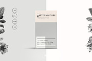 Resume Design | CV Template for Word, a Resume Template by Botanica Paperie (Thumbnail 4 of 5)