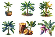 Banana Tree Free Clipart, an Illustration by DreamArtGraphic (Thumbnail 5 of 7)