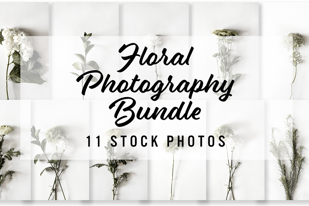 Floral Photography Bundle, a Nature Photo by Creative Moxie Studio (Photo 1 of 7)