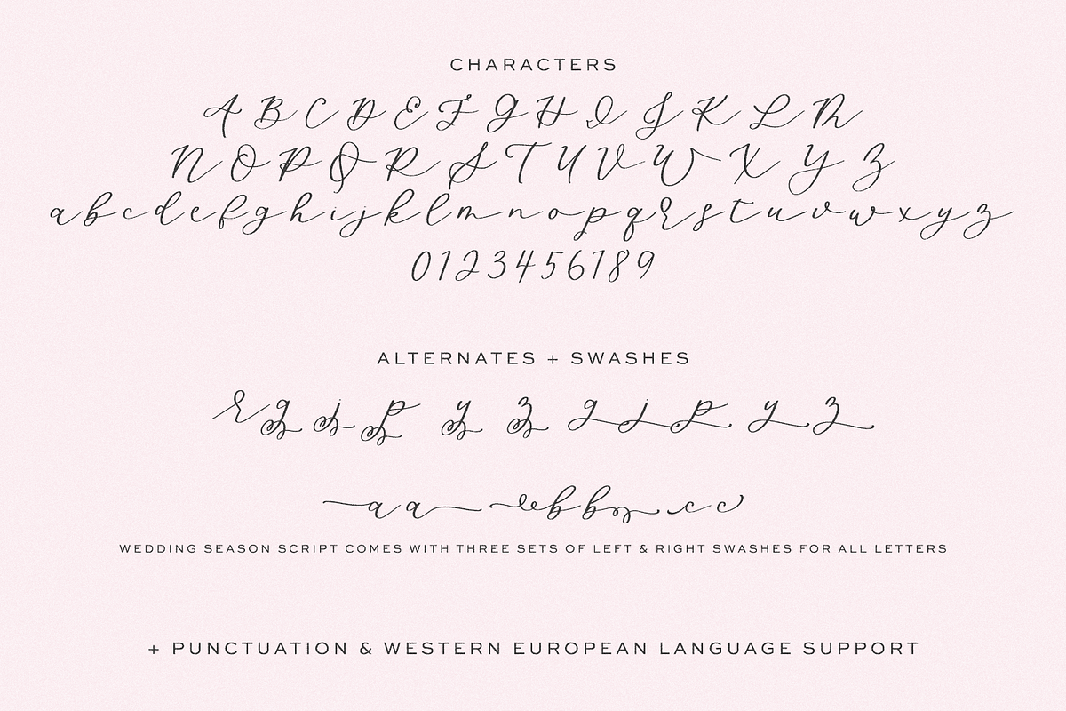 Wedding Season Script, a Script Font by Beck McCormick (Photo 10 of 10)