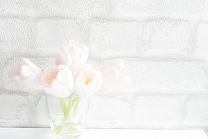 Tulips Minimal Stock Photo