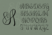 Abellona Script, a Script Font by TypeClassHeroes (Thumbnail 2 of 11)