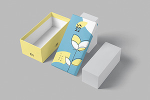 Wide Rectangular Shoes Box Mockups