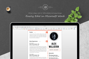 Professional Resume / CV Templates