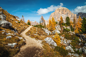 Wonderful hiking trail on the slope, a Nature Photo by Alpine Dreams