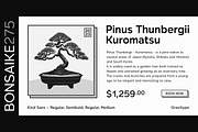 Kind Sans - Humanist Font Family, a Sans Serif Font by Gravitype (Thumbnail 5 of 15)