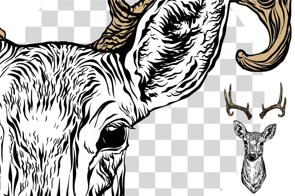 Deer and antlers set., an Object Graphic by ArtOwl (Photo 3 of 4)