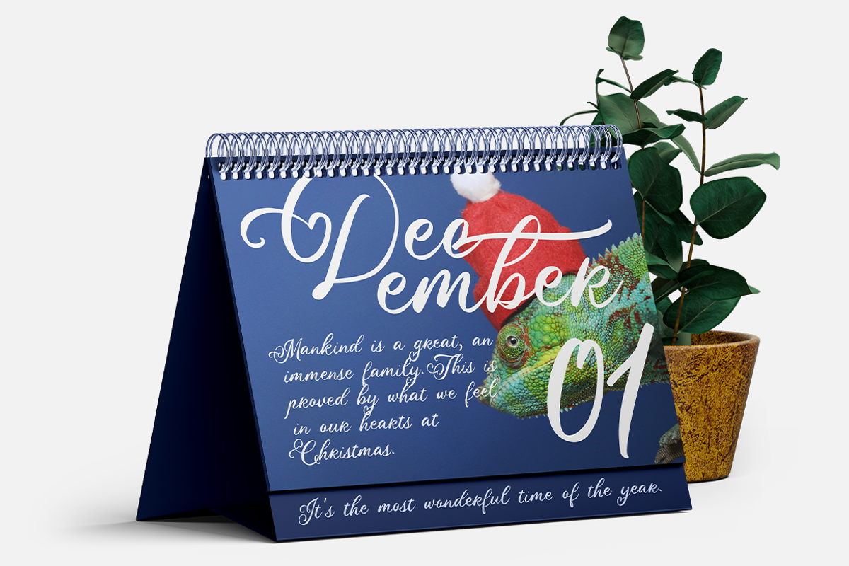 Special Bouquet | A Flourish Font, a Script Font by Colllab Studio (Photo 11 of 19)