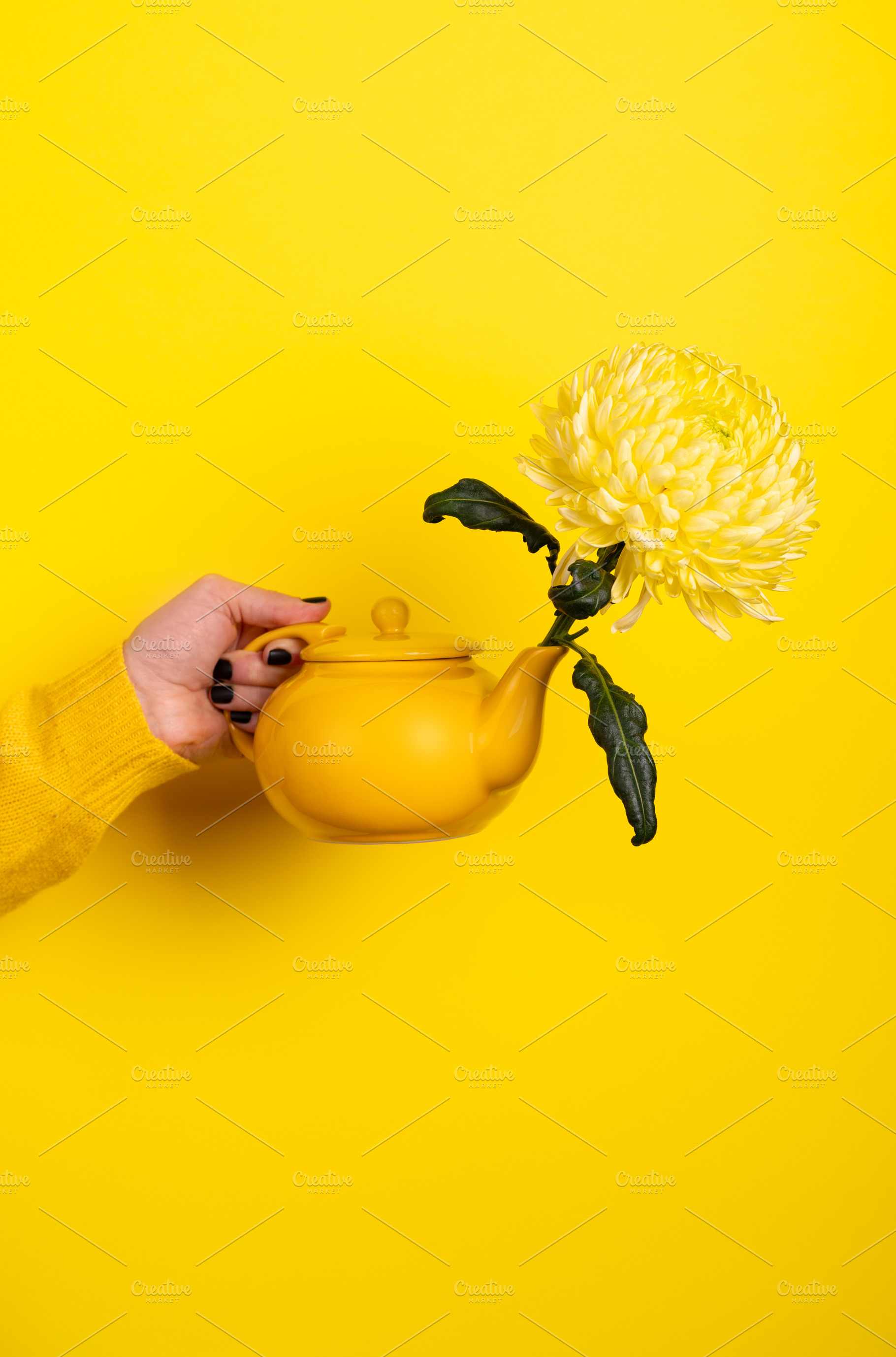 Hand holding a yellow teapot with vibrant chrysanthemum flower a, a Holiday Photo by Ales Munt