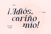 Algra Molta - Elegant Serif Family, a Serif Font by Pandeka Studio (Thumbnail 9 of 11)
