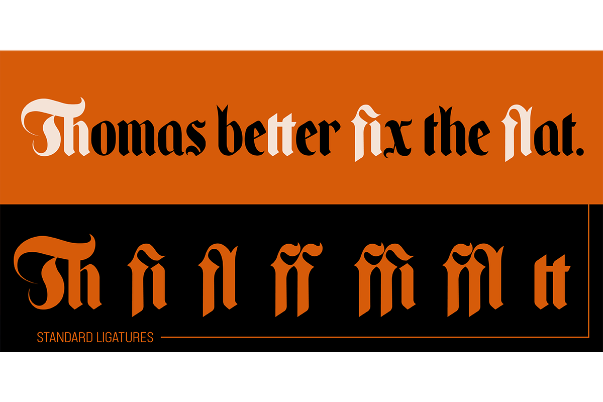 Enchanted Land DS, a Serif Font by Sharkshock (Photo 3 of 6)
