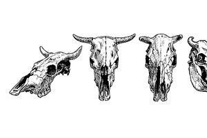 Cow And Bull Skull Set