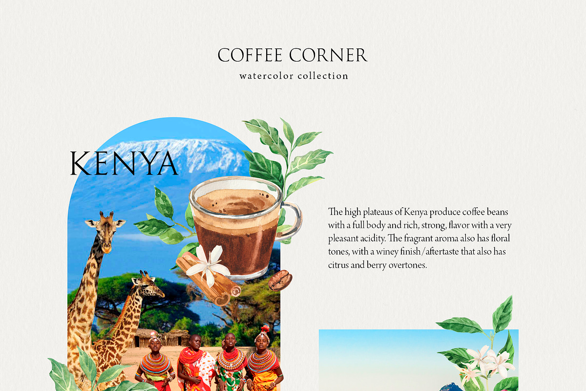 Coffee Corner watercolor, a Food Illustration by Volha Studio (Photo 2 of 11)