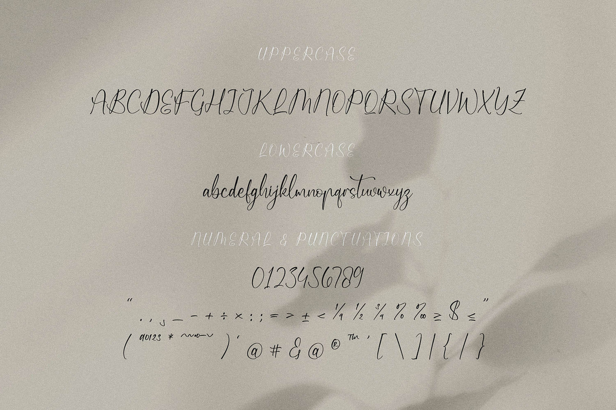 Qireenatta, a Script Font by Integritype Studio (Photo 9 of 15)