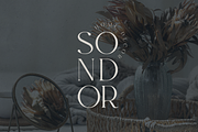 Evalinor – A Modern Serif Font, a Serif Font by Only Fonts (Thumbnail 3 of 11)