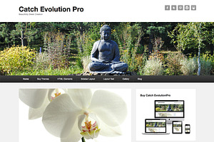 Catch Evolution Pro