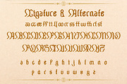 Chameton - Decorative Blackletter, a Blackletter Font by Dhabee (Thumbnail 10 of 15)