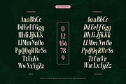 TRT Kingdom Heaven Serif Family, a Serif Font by truetype (Thumbnail 5 of 15)