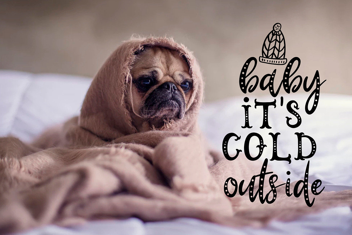 LaLaLapland. Fonts & illustrations preview 6