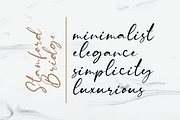 Stamford Bridge Signature Font, a Script Font by Bluestudio (Thumbnail 4 of 11)