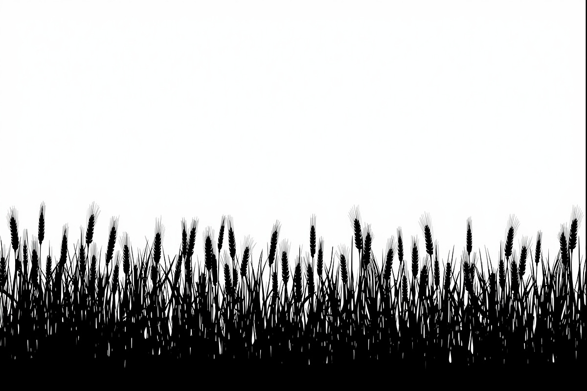 Wheat Field Border Bundle, an Illustration by Designs_River (Photo 2 of 9)