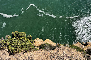 Cliffside ocean view of Nazare Portugal with greenery and rocky coastline, a Photo by AS photostudio