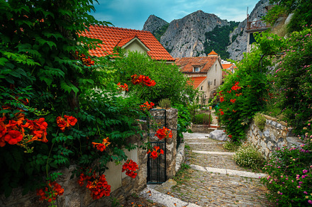 Narrow street with flowered entrance, an Architecture Photo by Alpine Dreams